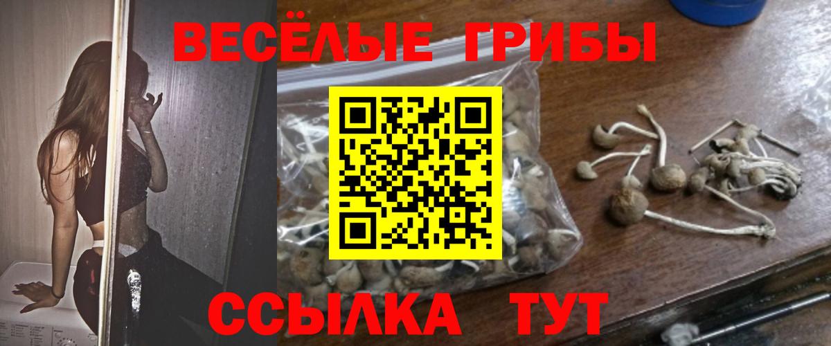 Галлюциногенные грибы Cubensis Сергиев Посад