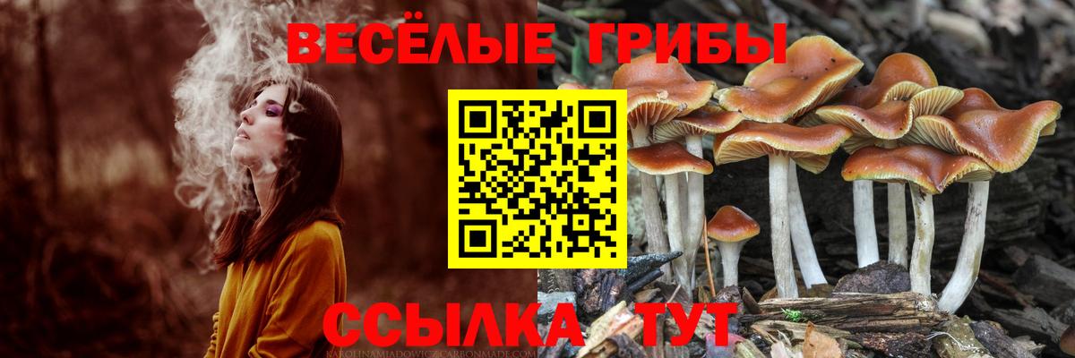 Сергиев Посад  Галлюциногенные грибы MAGIC MUSHROOMS  Вход с VPN 